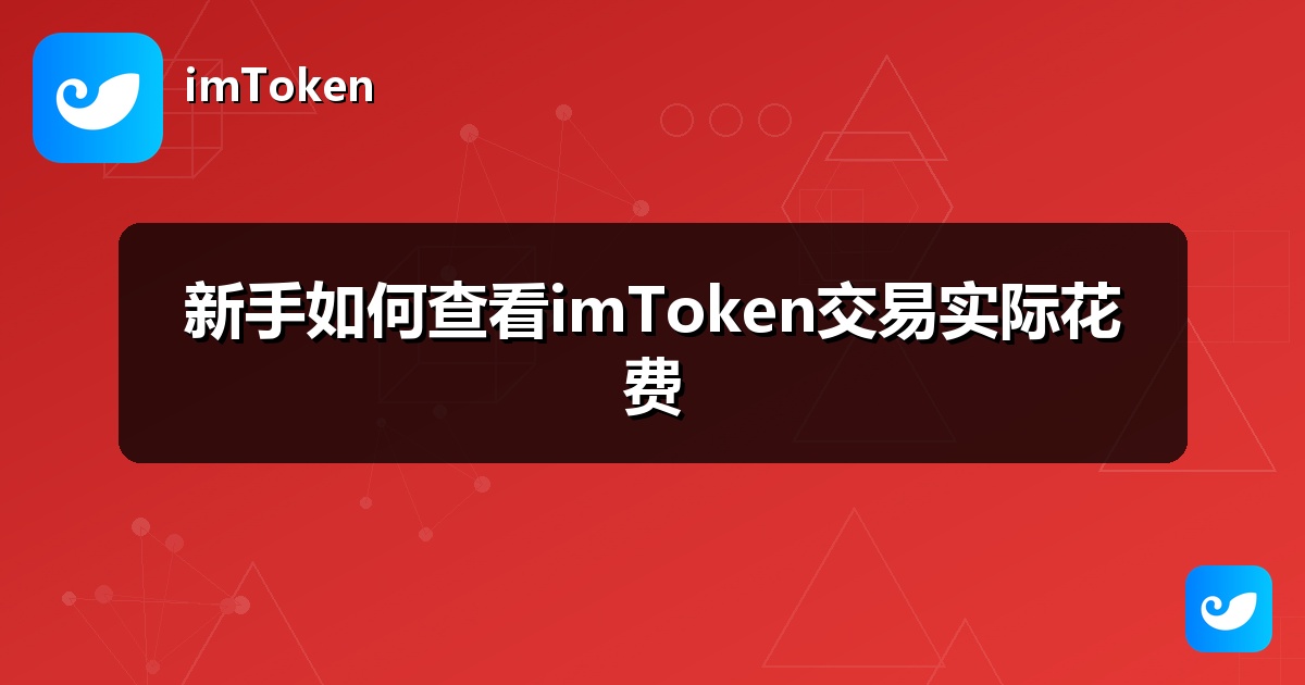 新手如何查看imToken交易实际花费